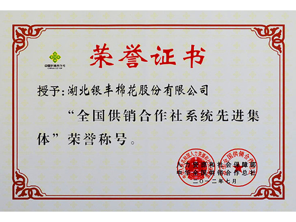 2012年 湖北銀豐棉花股份有限公司榮獲全國供銷合作社系統先進集體 2012年 湖北銀豐棉花股份有限公司榮獲全國供銷合作社系統先進集體